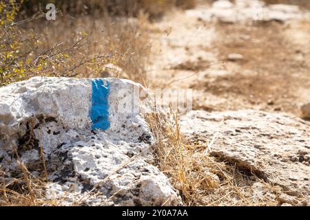 Blau-weiße Wegmarkierung eines Wanderweges, gemalt auf einem Stein Stockfoto