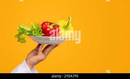 Unerkennbarer Chef-Halteplatte Mit Gemüse Über Weißem Hintergrund, Panorama Stockfoto
