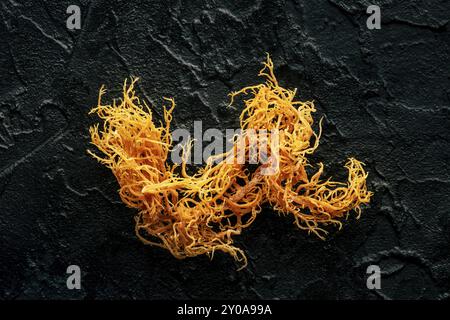 Irisches Meeresmoos. Chondrus Crispus, gesunder roher Bio-Algen, eine Nahaufnahme auf schwarzem Schiefergrund Stockfoto