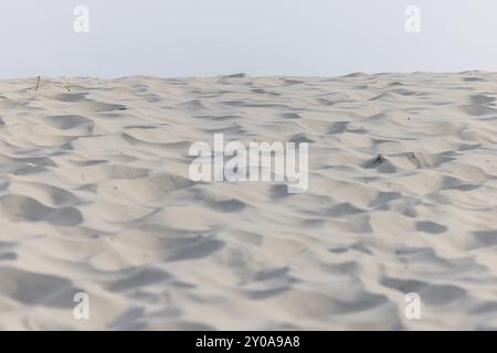 Sanddüne mit Wellen, in der Nähe von Oerd, Ameland Island, Friesland, Niederlande Stockfoto