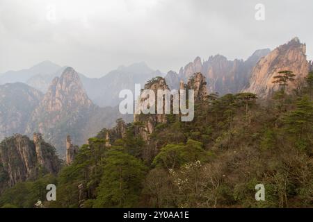 Bizzare-Felsformationen in Huang Shan, China, Asien Stockfoto