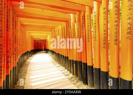 Japanischer Text auf den Stützen der farbenfrohen roten Torii-Tore, der auf einem Steinweg am Fushimi Inari Taisha Schrein ohne Menschen vor sich geht Stockfoto