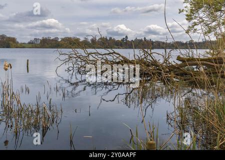 Blick über die bloße, in der Nähe von Ellesmere, Shropshire, Großbritannien Stockfoto