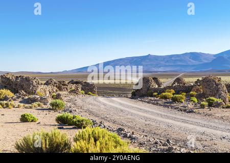 Blick auf eine Straße, die durch ein landwirtschaftliches Feld zu einem Berg mit einem Vicuna-Stand am Seitenweg in Uyuni, Bolivien, Südamerika führt Stockfoto