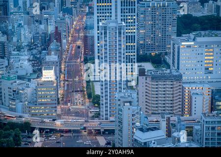 Tokio Stadtbild. Panoramablick über die Stadt von der Aussichtsebene des Tokyo Tower, Tokio, Japan Stockfoto