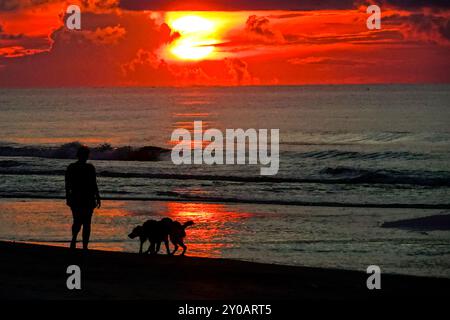 Isle Of Palms, Usa. 31. August 2024. Eine Person, die vom Sonnenaufgang umgeben ist, geht mit ihren Hunden spazieren, während die Sonne unter einer Sturmwolke am Anfang des Labor Day-Wochenendes am Strand am 31. August 2024 in Isle of Palms, South Carolina, ausbricht. Quelle: Richard Ellis/Richard Ellis/Alamy Live News Stockfoto