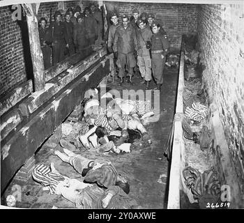 Amerikanische Truppen untersuchen die Leichen der Gefangenen, die in einer Latrine im Konzentrationslager Woebbelin gefunden wurden. Die SS eröffnete Wöbbelin im Februar 1945, um KZ-Gefangene aufzunehmen, die die SS aus anderen Lagern evakuiert hatte, um ihre Befreiung durch die Alliierten zu verhindern. Das Lager wurde am 2. Mai 1945 freigelassen. Das Foto stammt vom 6. Mai 1945, vier Tage nach seiner Befreiung. Stockfoto