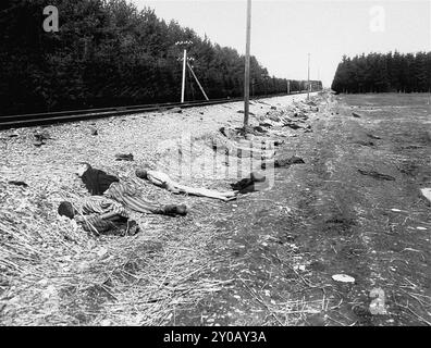 Leichen liegen neben dem Bahnsporn, der dem KZ Kaufering IV diente. Diese Menschen starben im Zug und die Leichen wurden während eines Stopps weggeworfen. Dachau war das erste Konzentrationslager der nazis, das am 22. März 1933 eröffnet wurde (nur sieben Wochen nach der Machtergreifung Hitlers). Obwohl es ein Zwangsarbeitslager war und es dort keine Gaskammern gab, waren Brutalität und gewalttätige Strafen die Norm. Dort gab es 32000 dokumentierte Todesfälle und viele Tausende weitere undokumentierte Todesfälle. Das Hauptlager (Dachau hatte 100 Unterlager) wurde am 29. April 1945 von der US-Armee befreit. Stockfoto