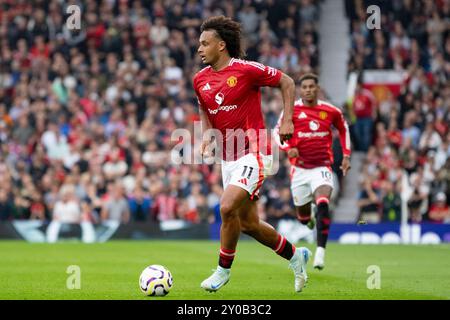 MANCHESTER, ENGLAND – 1. SEPTEMBER: Joshua Zirkzee von Manchester United spielt mit dem Ball während des Premier League-Fußballspiels zwischen Manchester United und Liverpool am 1. September 2024 in Old Trafford. (Foto: Richard Callis/SPP) (Richard Callis/SPP) Credit: SPP Sport Press Photo. /Alamy Live News Stockfoto