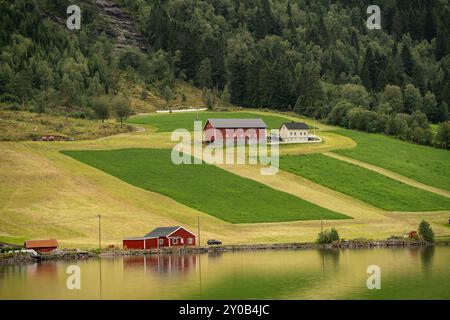 Hellesylt, Norwegen - 23. Juli 2024: Landschaft mit majestätischem Geirangerfjord ordentlich Hellesylt, verstecktes Juwel Norwegens. Atemberaubende Schönheit. Stockfoto