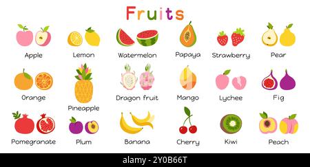 Früchte oder Beeren mit Namen Zeichentrickset für Kinder. In Scheiben geschnittene Zitrone Orange Apfel Birne Wassermelone Pfirsich Papaya Ananas Drachen Obst Kiwi Mango Banana Granatapfel. Erdbeere Pflaume Kirsche Vektor Baby gezeichnet Stock Vektor