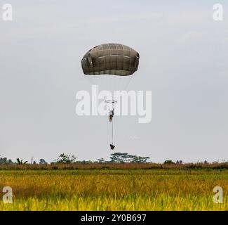 Truppe B, 1. Geschwader, 40. Kavallerie-Regiment, 4. Brigade Combat ...