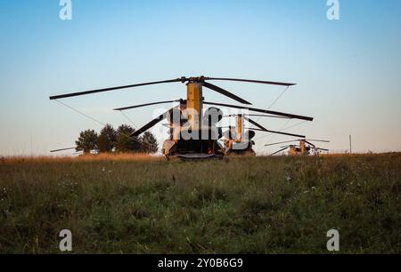 CH-47 Chinooks der US Army wurden während der Saber Junction 24 im Hohenfels Training Area, Joint Multinational Readiness Center (JMRC), Deutschland, am 28. August 2024 ausgebildet. Saber Junction ist eine jährliche Übung, die vom 7. Army Training Command und JMRC durchgeführt wird, um Zugang zu den Einheiten der US Army zu erhalten, einheitliche Landoperationen in einer gemeinsamen, kombinierten Umgebung durchzuführen und die Interoperabilität mit den teilnehmenden Alliierten und Partnerländern zu fördern. (Foto der US-Armee von SPC. Jaimee Perez) Stockfoto