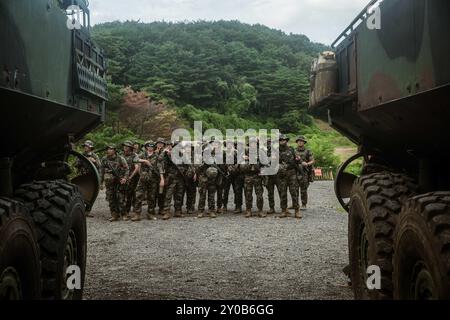 Die Marines der Republik Korea (ROK), die dem 3. Bataillon, 7. Brigade, 1. ROK Marine Division zugeteilt sind, stehen hinter Amphibien-Kampffahrzeugen, die der Alpha Kompanie, dem Battalion Landing Team 1/5, 15. Marine Expeditionary Unit zugeordnet sind, während einer begehbaren Klasse in Jeongcheon-ri, Südkorea, 20. August 2024. Die integrierte Ausbildung zwischen den beiden Ländern stärkt die ROK-USA Allianz durch bilaterale, gemeinsame Ausbildung, die zur gemeinsamen Verteidigungsfähigkeit der koreanischen Halbinsel beiträgt. (Foto des U.S. Marine Corps von Lance CPL. Peyton Kahle) Stockfoto