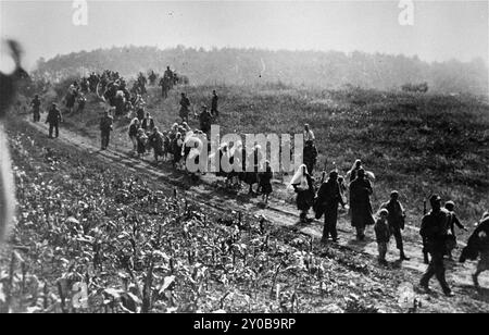 Deutsche Soldaten, unterstützt von Ustasa-Kollaborateuren, führten eine Serbenkolonne in das Internierungslager Sabac während parteifeindlicher „Säuberungsaktionen“ in der Region Macva. Stockfoto