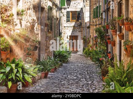 Valldemossa plant Straße Gasse mit Sonne Flare im Sommer Stockfoto