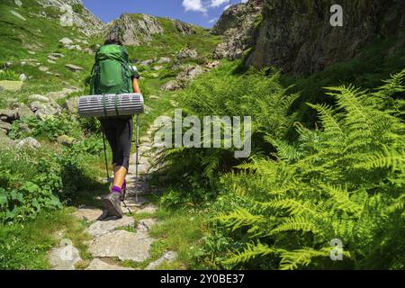 Senda de al lago de Caillouas, Gourgs Blancs, cordillera de los Pirineos, Frankreich, Europa Stockfoto