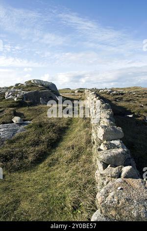 Irischer Steinwall Stockfoto