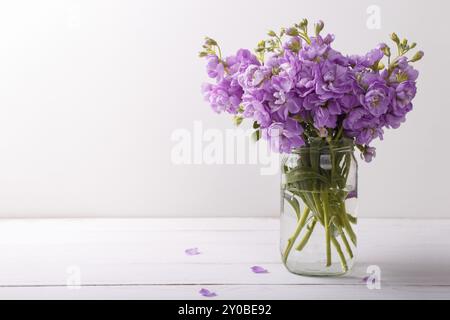 Blumenstrauß aus Lila matthiola Blumen in Vase auf weißem Hintergrund Holz Stockfoto