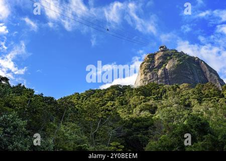 Zuckerhut über dem tropischen Wald auf Rio de Janeiro Stockfoto