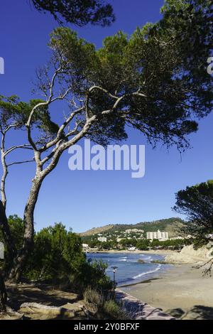 Peguera, playa la Romana, Calvia, Mallorca, Insel baleares, Spanien, Europa Stockfoto