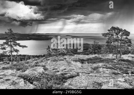 Regenschauer über dem Bottnischen Golf, Skuleskogen-Nationalpark, Hoega Kusten-Weltkulturerbe, Vaesternorrland, Schweden, Juli 2012, Europa Stockfoto