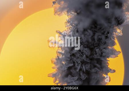 Schneekristalle bei Sonnenuntergang, Norrbotten, Lappland, Schweden, November 2013, Europa Stockfoto