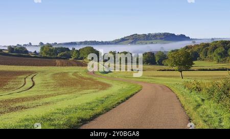 Burgund im Nebel, Burgund Landschaft im Morgennebel, Frankreich, Europa Stockfoto