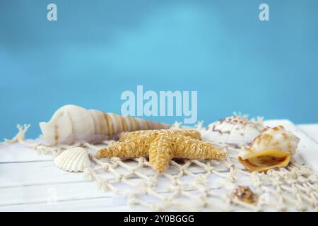 Fischernetz mit Muscheln und Seesternen vor blauem Wasser Stockfoto