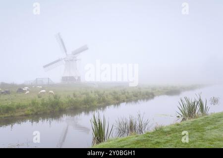 Windmühle und Schafe am Fluss bei dichtem Nebel, Niederlande Stockfoto