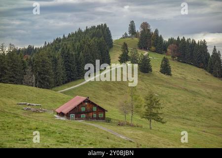 Holzhütte auf einer grünen Wiese, umgeben von Hügeln und Bäumen, mit einem gewundenen Pfad im Vordergrund, oberstaufen, allgäu, bayern, deutschland Stockfoto