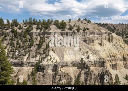 Die Basaltsäulen an den steilen Hängen des Yellowstone Canyon, von Calcite Springs aus gesehen, überblicken den Yellowstone National Park Stockfoto