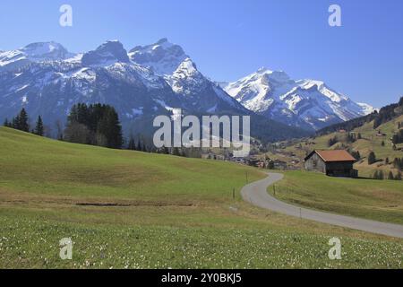 Frühling in Gsteig bei Gstaad. Schneebedeckte Berge Schlauchhorn und Oldenhorn. Grüne Wiese mit Blumen Stockfoto