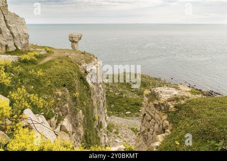 Steinbruch Ruinen von St aldhelm's Kopf, in der Nähe von Worth Matravers, Jurassic Coast, Dorset, Großbritannien Stockfoto