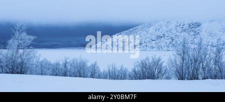 Schlechtes Wetter über dem gefrorenen See Tornetraesk, Norrbotten, Lappland, Schweden, Januar 2014, Europa Stockfoto