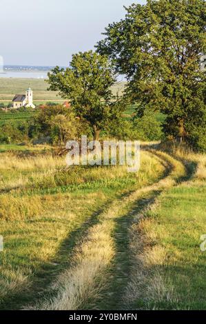 Auf dem Weg nach Oggau am Neusiedler See Stockfoto