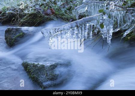 Eiszapfen auf Gras am Bergfluss im Winter Stockfoto