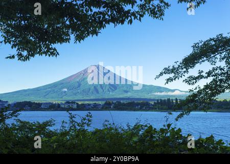 Vordergrund Bäume umrahmen einen schneefreien Schmutz Vulkankegel des Mount Fuji über Kawaguchiko See während der frühen Sommermorgen in Japan Stockfoto