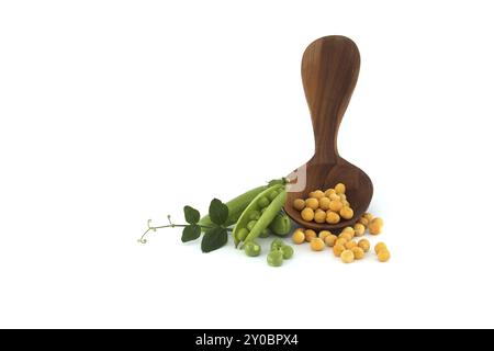 Gelbe getrocknete Erbsen ganz aus einem Holzlöffel in der Nähe von frischen grünen Erbsen und Erbsenschoten mit grünem Blatt isoliert auf weißem Hintergrund Stockfoto