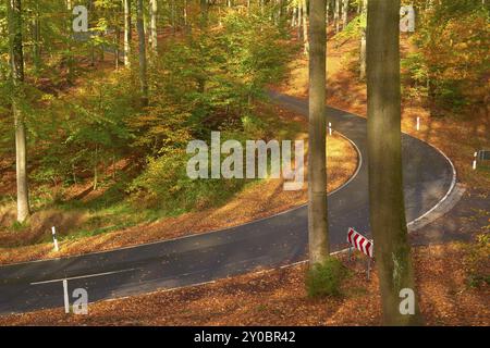 Die Sonne beleuchtet eine gewundene Straße, die durch einen herbstlichen Wald mit bunten Laub und hohen Bäumen führt, Altenbuch, Miltenberg, Spessart, BAV Stockfoto