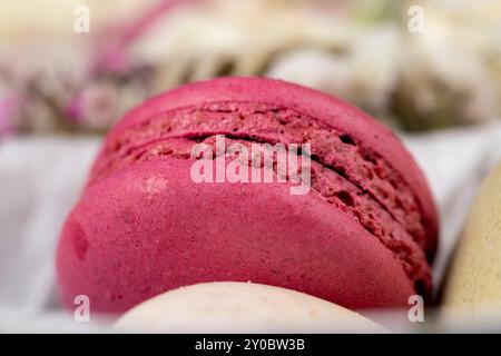 Makronen-Süßwaren unter Verwendung von Eiern und Zucker, eine Nahaufnahme eines süßen Makronen-Desserts in Rot Stockfoto