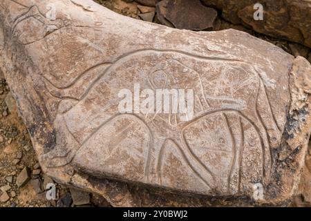 Petroglyphe, Ait Ouazik Gesteinsvorkommen, spätneolithisches, Marokko, Afrika Stockfoto