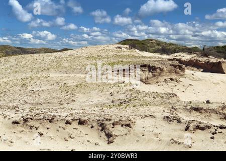 Sanddünen in Zandvoort aan Zee unter wunderschönem Himmel Stockfoto