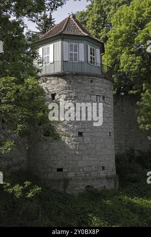 Gartenschuppen auf dem Zinnen in Mühlhausen Stockfoto