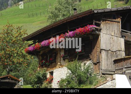 Almhütte, Chalet Stockfoto