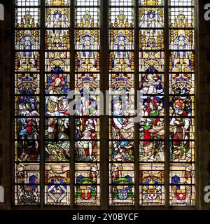 Gotische Kathedrale St. Bavo aus dem 10. Jahrhundert, Buntglasfenster, Gent, Flandern, Belgien, Europa Stockfoto