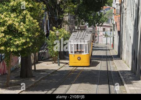 Eine gelbe Straßenbahn fährt auf Schienen entlang einer engen, von Bäumen und Gebäuden gesäumten Straße, Standseilbahn, Ascensor da Gloria, Altstadt, Lissabon, Lisboa, Por Stockfoto