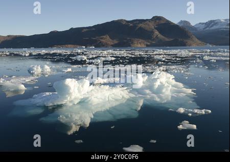 Eisberge, Bredefjord bei Narsaq, Südwestgrönland Stockfoto