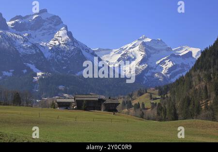 Ankunft des Frühlings in Gsteig bei Gstaad, Schweizer Alpen. Schneebedeckte Berge Oldenhorn und Schlauchhorn. Grüne Wiese Stockfoto