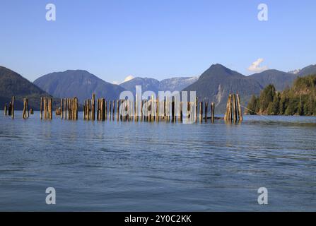 Knight Inlet in Kanada Stockfoto